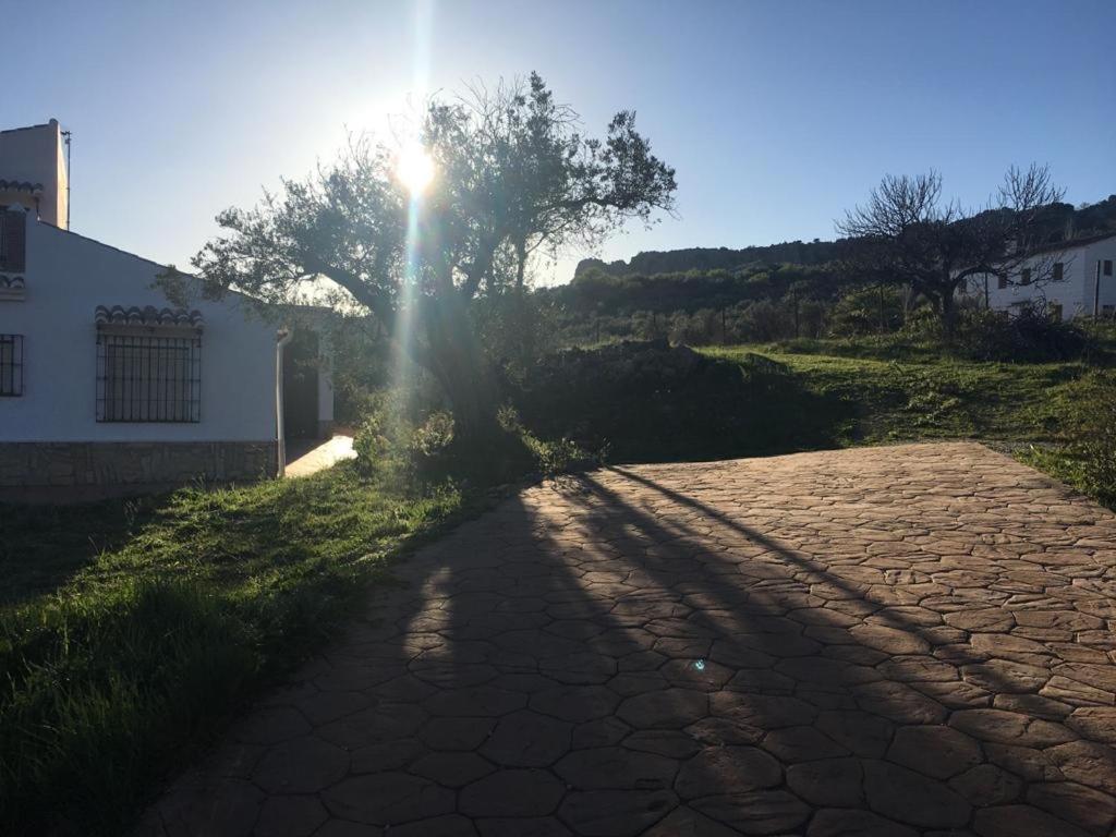Casa Rural El Alamo Dom wakacyjny Malaga